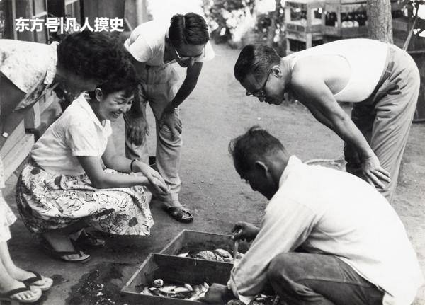 老照片 與東京隔海相望的日本農村 1966年來了幾個大人物 雪花新闻
